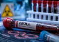 Konqo DR və Uqandada Ebola qızdırmasından ölənlərin sayı 1 000 nəfəri keçib