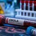 Konqo DR və Uqandada Ebola qızdırmasından ölənlərin sayı 1 000 nəfəri keçib