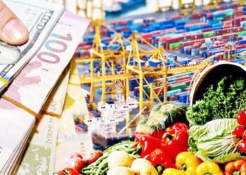 Qeyri-neft sektoru üzrə ixrac 16,9% artıb