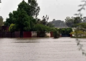 Pakistanda güclü yağışlar nəticəsində iki ev uçdu: 4 ölü