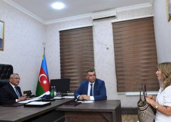 Dövlət Komitəsində vətəndaşların növbəti qəbulu keçirilib