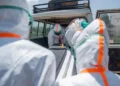 Təhlükə artır: ABŞ-dən Ebola ilə bağlı səyahət məhdudiyyəti