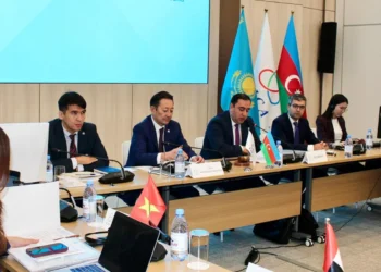 Azərbaycanın sədrliyi ilə AQEM Yüksək Səviyyəli Şəxslər Komitəsinin növbəti iclası keçirilib