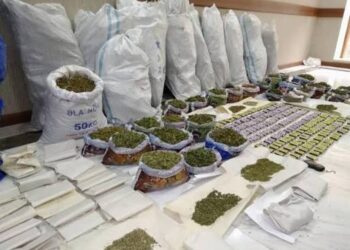 Azərbaycanda 6 tondan çox narkotik müsadirə edildi