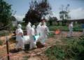 Konqo Ebola virusuna qarşı 70 min doza peyvənd alacaq