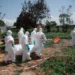Konqo Ebola virusuna qarşı 70 min doza peyvənd alacaq