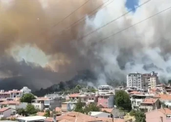 Türkiyədə meşə yanğını yaşayış yerlərinə yaxınlaşıb, sakinlər təxliyə edilib