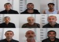 Siyəzəndə narkotik yetişdirilməsi və dövriyyəsi ilə məşğul olan 9 nəfər həbs edilib