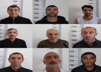 Siyəzəndə narkotik yetişdirilməsi və dövriyyəsi ilə məşğul olan 9 nəfər həbs edilib
