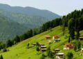 Azərbaycanda 3 yeni turizm və rekreasiya zonası yaradılacaq