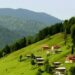 Azərbaycanda 3 yeni turizm və rekreasiya zonası yaradılacaq
