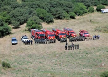 Şahbuz rayonunda meşəlik ərazidə yanğın-taktiki təlim keçirilib – FOTO