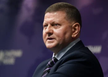 “Ukrayna heç vaxt NATO-ya üzv olmayacaq” – Zalujnı