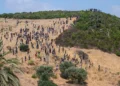 Aİ qanunsuz miqrasiya ilə mübarizə üçün Mərakeşə maliyyə dəstəyini artıracaq
