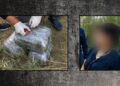 İmişlidə 10 kiloqram narkotik vasitə aşkarlandı