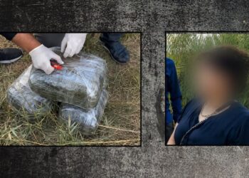 İmişlidə 10 kiloqram narkotik vasitə aşkarlandı