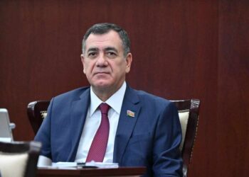 “Tarixlə tarixçi alimlər məşğul olmalıdır”-Qüdrət Həsənquliyev
