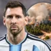 Messi İspaniyadakı meşə yanğınlarından zərər çəkən bölgəyə 80 min avro ianə edib