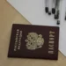 Məhkumluğu olan miqrantlara Rusiya vətəndaşlığı verilməyəcək
