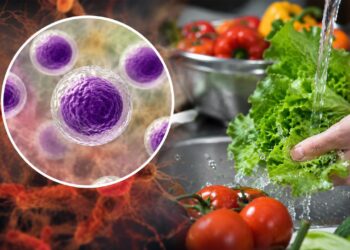ABŞ-da yeni epidemiya xəbərdarlığı!