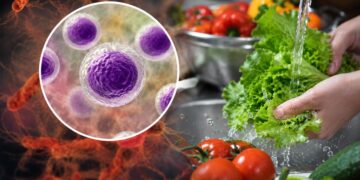 ABŞ-da yeni epidemiya xəbərdarlığı!