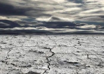 Avropada iqlim fəlakəti: 250 min ölüm təhlükəsi