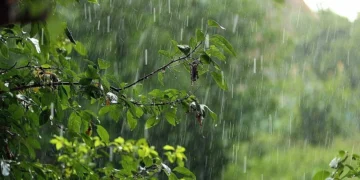 Növbəti 3 gündə hava şəraiti qeyri-sabit keçəcək – XƏBƏRDARLIQ