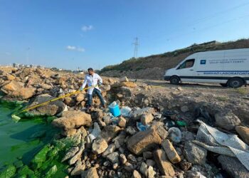 Böyükşor gölündə suyun yaşıl rəng almasının səbəbi müəyyənləşdirilib
