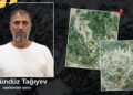 Astarada həyətində narkotik tərkibli bitkilər yetişdirən şəxs saxlanılıb