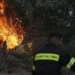 Yunanıstanın bir çox bölgəsində meşə yanğınları baş verib