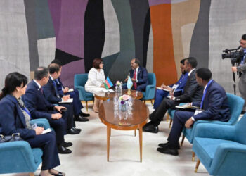 Sahibə Qafarova Somali Prezidenti ilə görüşdü