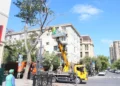Bakıda küləyə qarşı qabaqlayıcı tədbirlər görülür