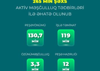 Yanvar-avqust aylarında 265 min şəxs aktiv məşğulluq tədbirləri ilə əhatə olunub