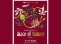 Qazaxda bədii gimnastika üzrə “Grace of Nature” turniri keçiriləcək