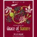 Qazaxda bədii gimnastika üzrə “Grace of Nature” turniri keçiriləcək