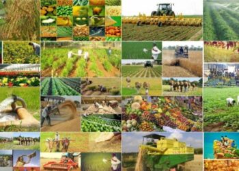 Azərbaycanda kənd təsərrüfatında subsidiya veriləcək yeni sahələr açıqlanıb