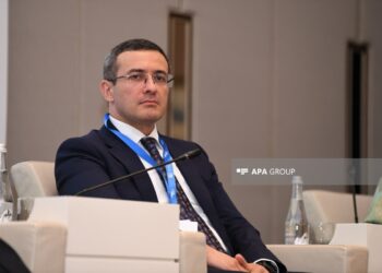 Direktor: Azərbaycanın COP29-a ev sahibliyi iqlim diplomatiyasının inkişafına mühüm töhfə verib