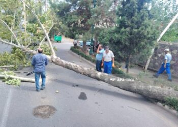 Güclü külək Bərdə, Tərtər və Ağdamda fəsadlar yaradıb – FOTO