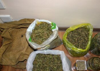 Polis Balakəndə külli miqdarda narkotik vasitə aşkarlayıb
