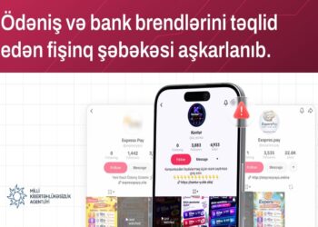 MKA: Ödəniş sistemlərini təqlid edən 6 saxta sayt aşkarlanıb
