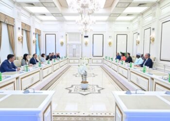Sahibə Qafarova Pan-Afrika Parlamentinin Prezidenti ilə görüşüb