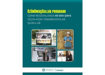 Özünüməşğulluq proqramı üzrə regionlarda 93 min şəxs üçün təsərrüfatlar qurulub