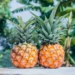 Azərbaycan Vyetnamdan ananas idxalını bərpa edib