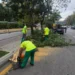 Bakıda külək nəticəsində 15 ağac sınıb