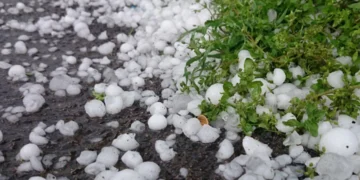 Tovuz rayonuna dolu düşüb