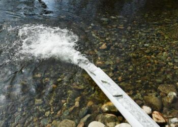 Azərbaycanda yeni balıq növləri tapıldı
