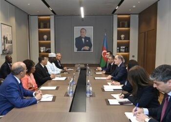 Ceyhun Bayramov Pan-Afrika Parlamentinin prezidenti ilə görüşüb
