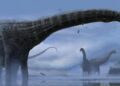 Afrikada 210 milyon illik yeni dinozavr növü kəşf edildi