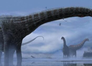 Afrikada 210 milyon illik yeni dinozavr növü kəşf edildi