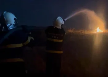 Qazaxda açıq ərazidə yanğın baş verib